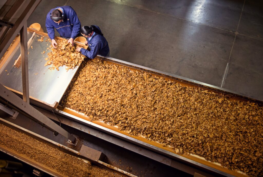 british american tobacco ploiesti British American Tobacco investește în acest an peste 60 de milioane de  euro în fabrica de la Ploiești